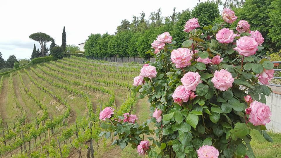 Residence Il Vigneto Lari Zewnętrze zdjęcie