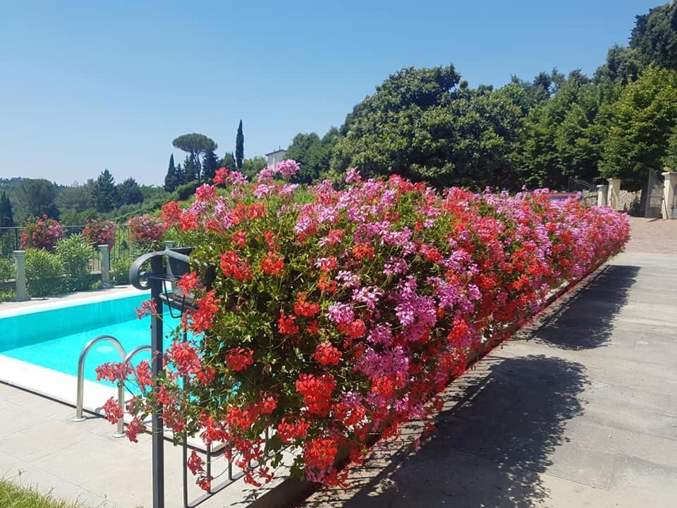 Residence Il Vigneto Lari Zewnętrze zdjęcie