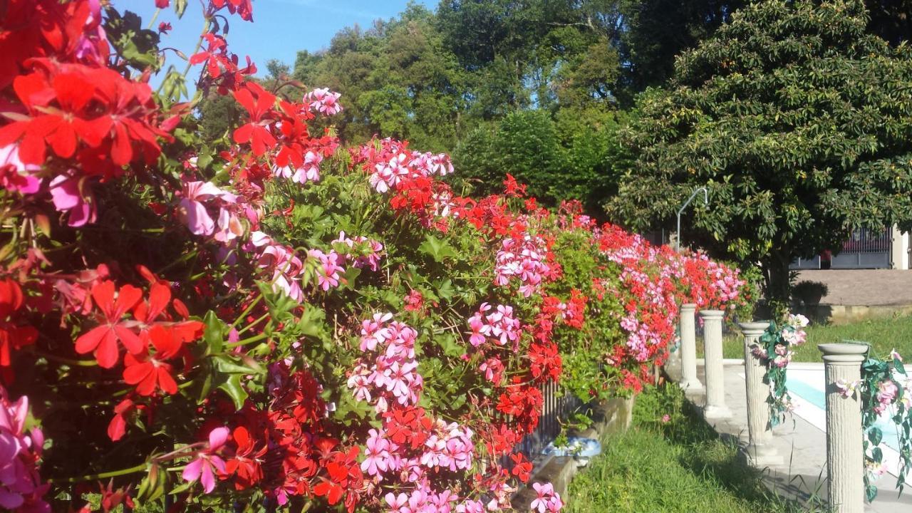 Residence Il Vigneto Lari Zewnętrze zdjęcie